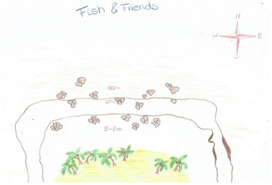 Fish and Friends